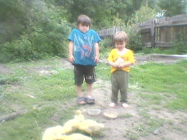 Игорь Матайс