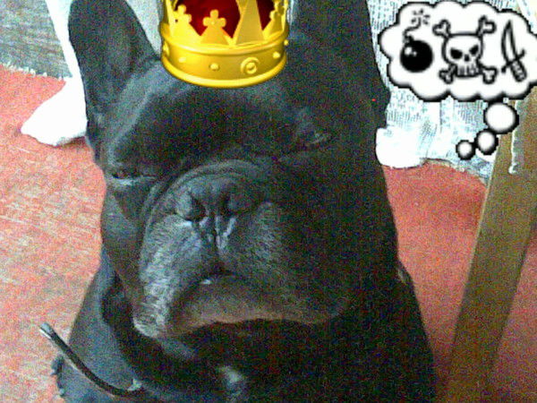 Михаил Басалгин