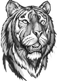 Сергей Корчевськый