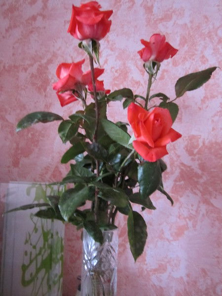 Прусакова Наталья