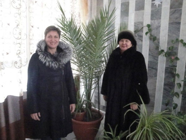 Елена Степанюк