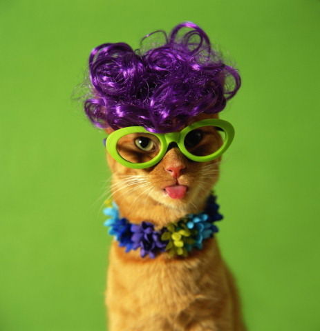 Ирина Матвеева