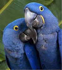 Полина Сподар