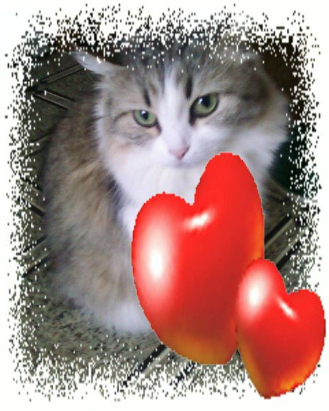 Анжела Прохорова