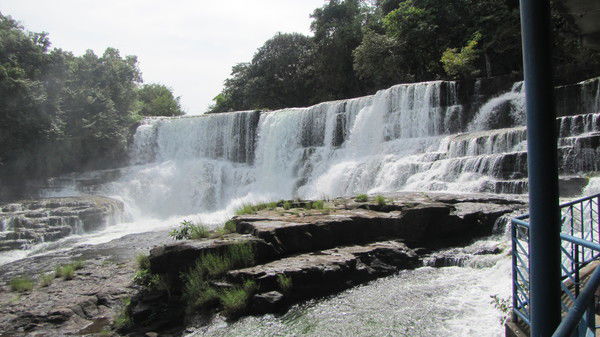 Султан Кадыров