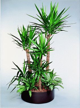 Артур Артур