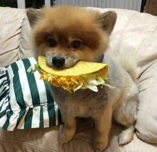 Ольга Клименко