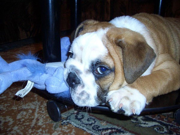 Гульнара Хусаинова