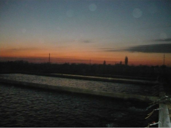 Aqualife (Форелевая Ферма)