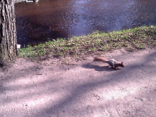 Агван Борбоев