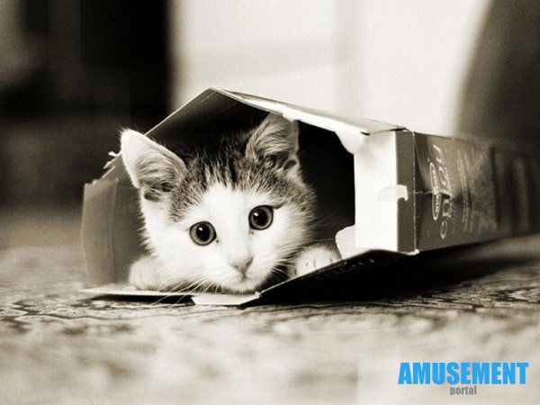 Евгений Гарбар