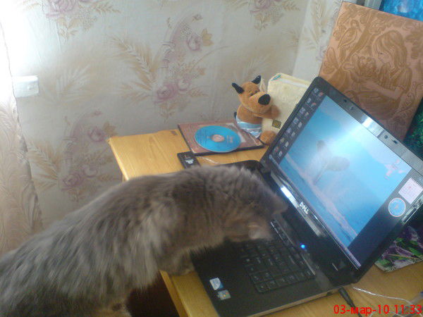 Наталья Красильникова