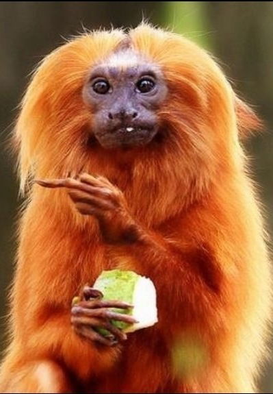 Сергей Никифоров