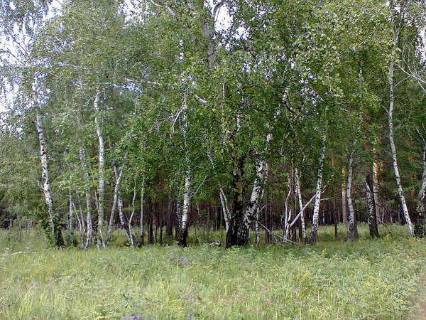 Людмила Биштанковская