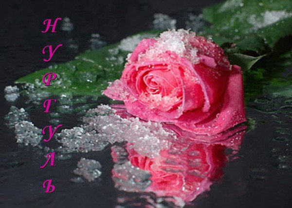 Нургуль Токтамысова