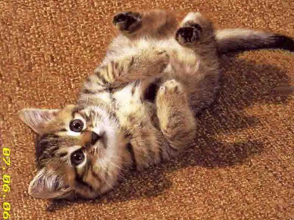 Ксюша Ульянова