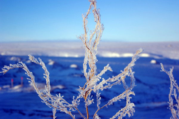 Неизвестно Неизвестно