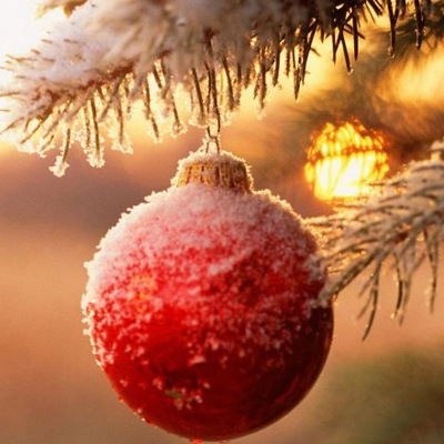 Татьяна Ледовская