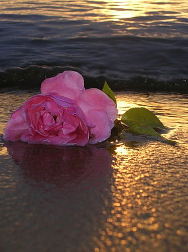 Маша Панкова