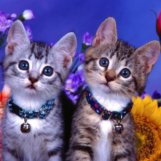 Ольга Н,ф Куликова