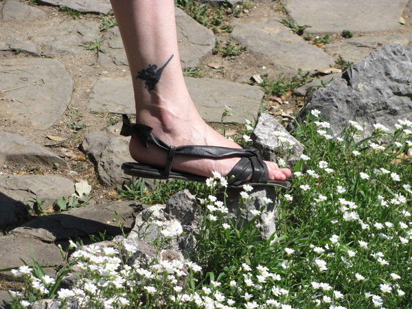 Ирина Синявская