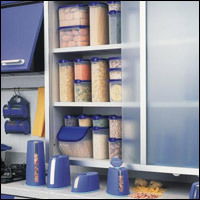 Eлена Кушнарева