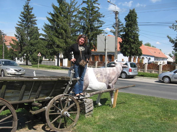 Елена Бескровная