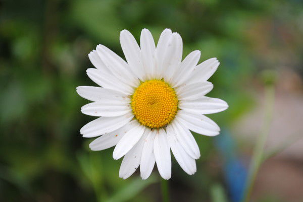 Катрин Сусолкина