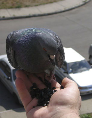 Виктор Кузнецов