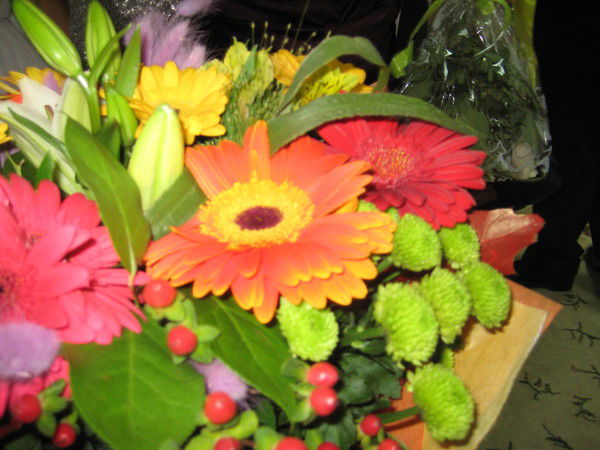 Ирина Бредихина