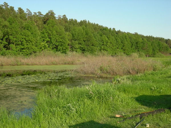 Павел Золотухин