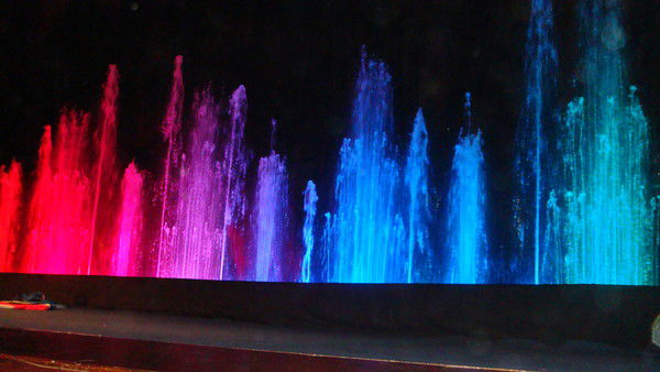 Светлана Лапина