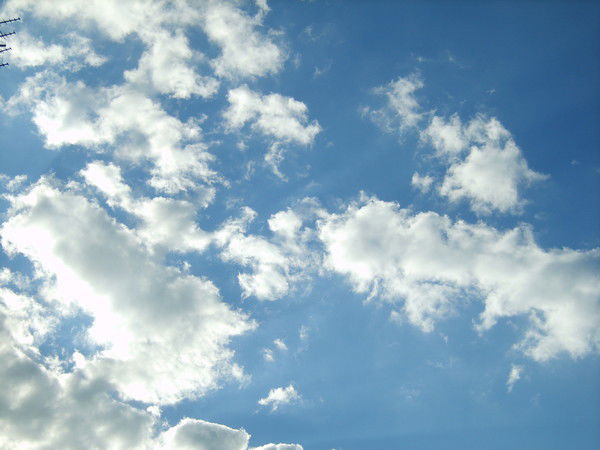 Игорь Ляшко