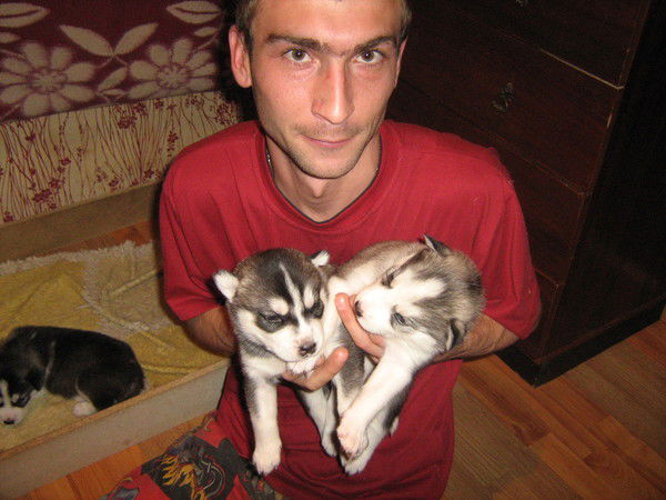 Алексей Базуев