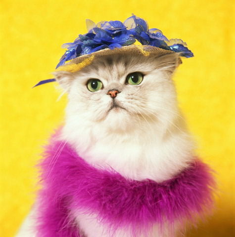 Татьяна Круковская