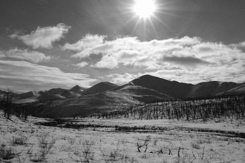 Равиль Назипов