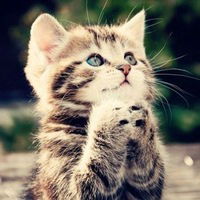 Анастасия Смирнова