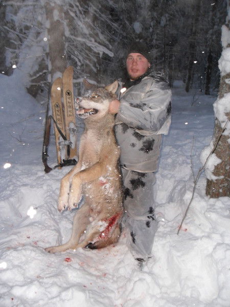 Александр Николаев