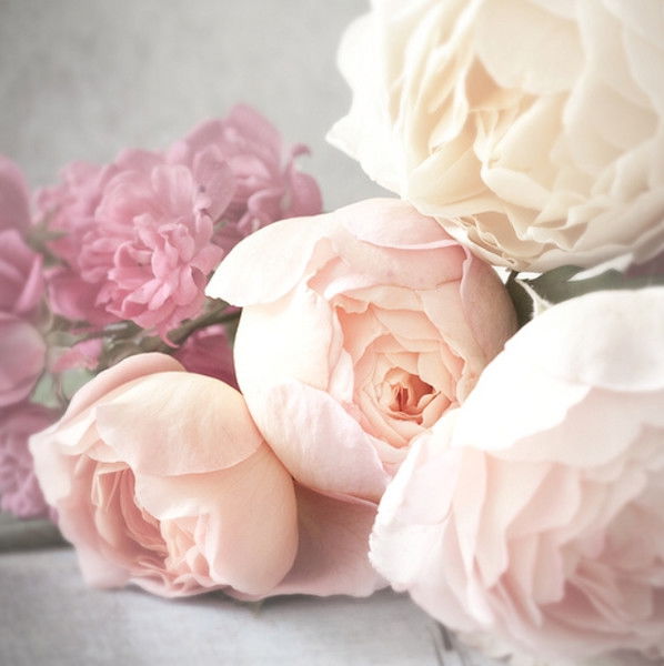 Saltanat Adzhihodzha