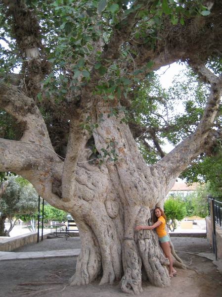 Ирина Логвиненко