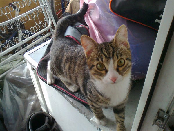 Павел Быков