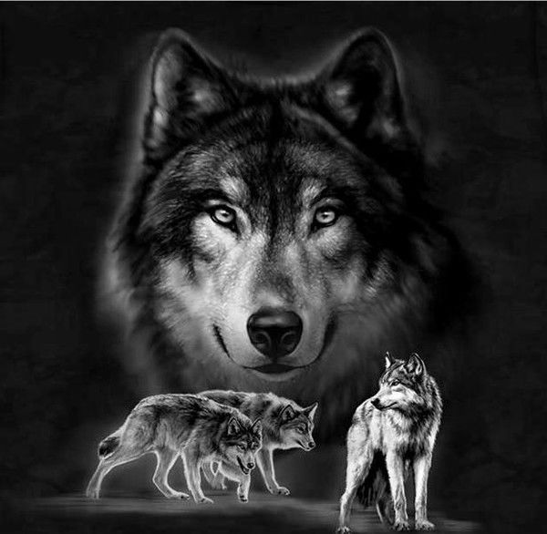 Султан Тажимуратов