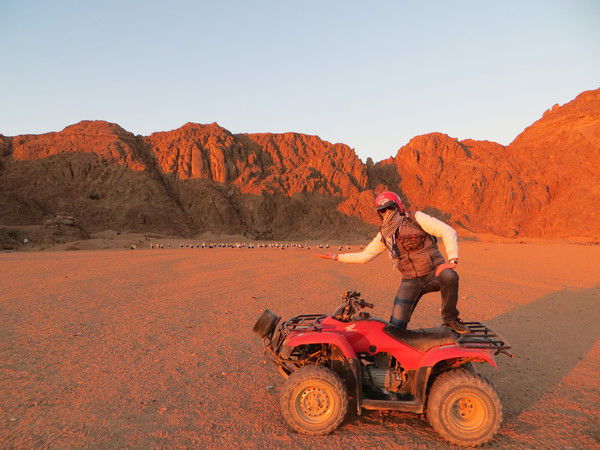 Евгений Моисеев