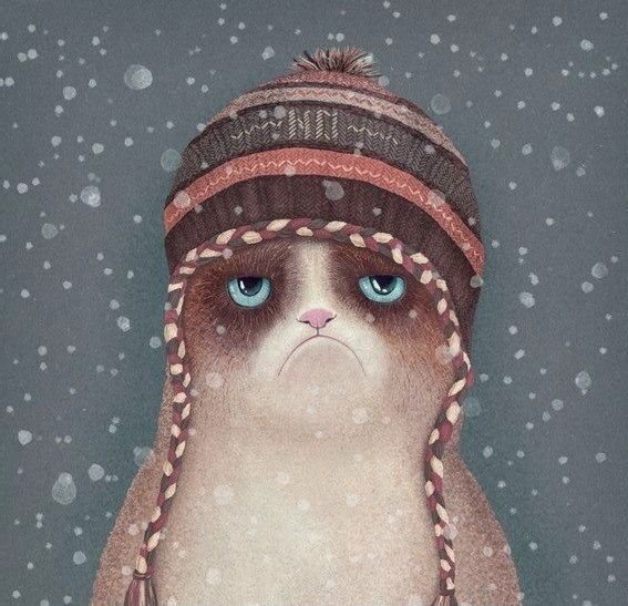 Диана Гавриляко