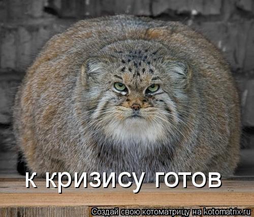 Марк Штельман