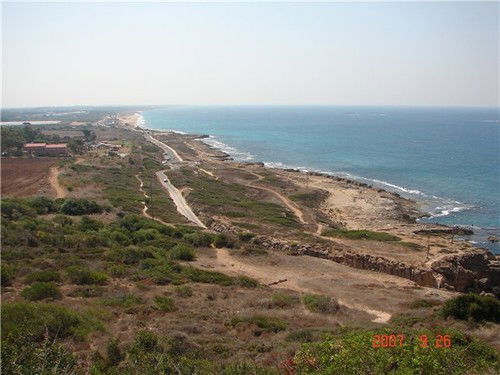 Александр Анатольевич