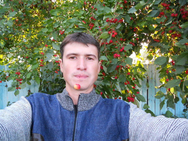 Джош Владимирович