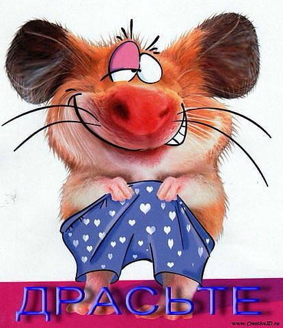 Алика Алика