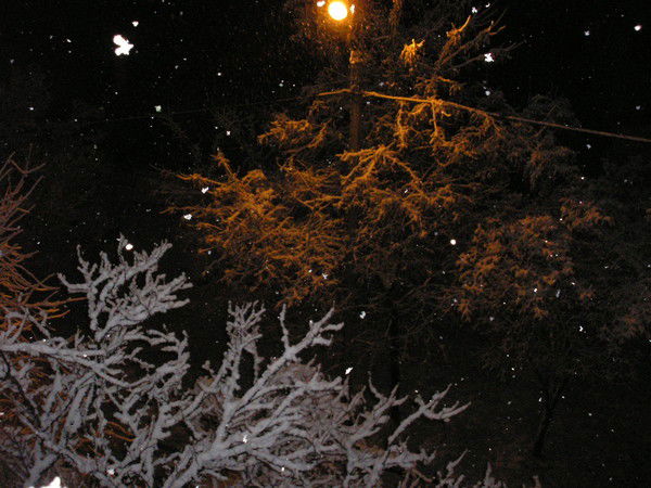 Иван Леонтьев