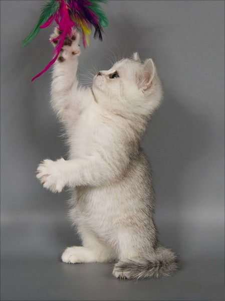 Ольга Елсукова